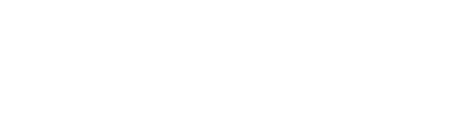 Datalinks_white logo